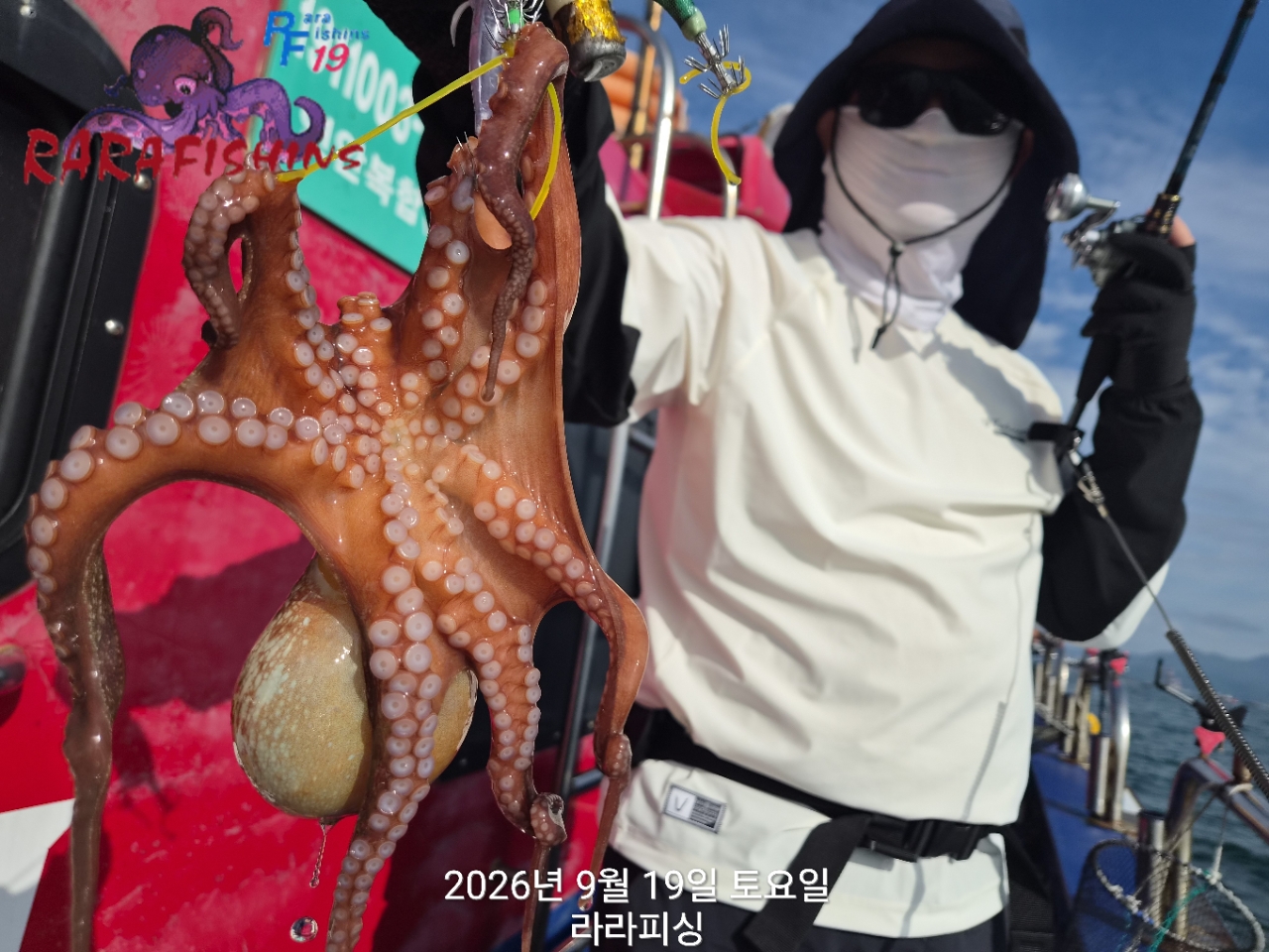 9월 19일 진해 문어 선상낚시 조황 현장 사진 4