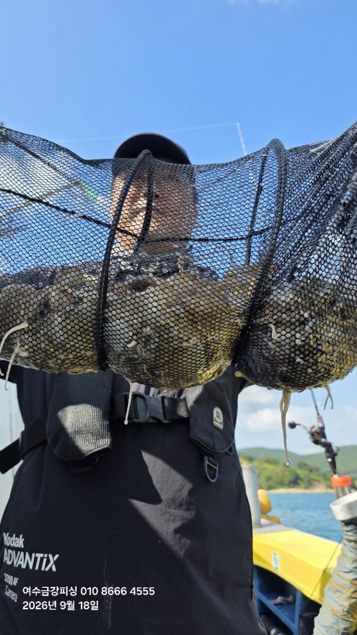 9월 19일 여수 주꾸미 선상낚시 조황 현장 사진 3
