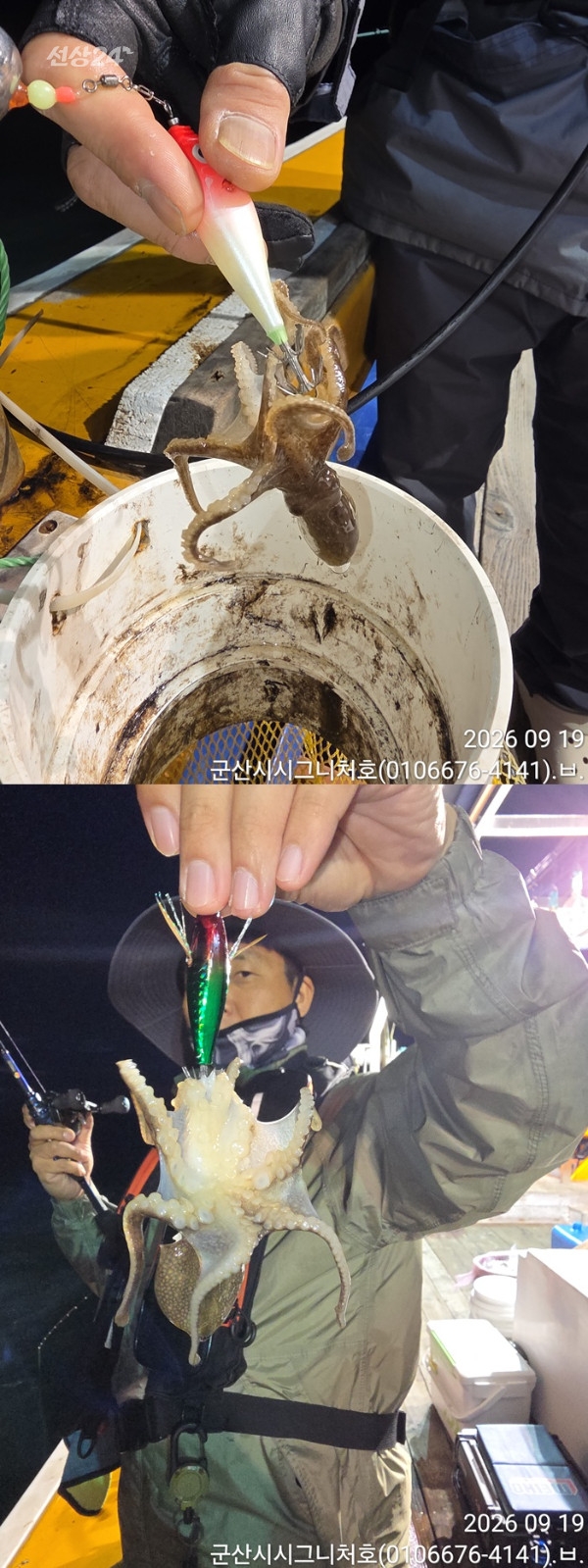 9월 19일 군산 주꾸미 선상낚시 조황 현장 사진 5