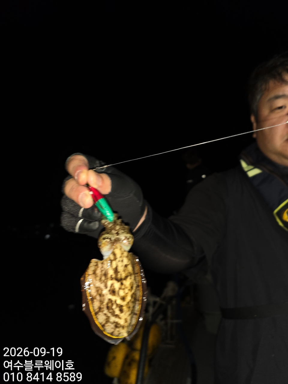 9월 19일 부산 갑오징어 선상낚시 조황 현장 사진 36