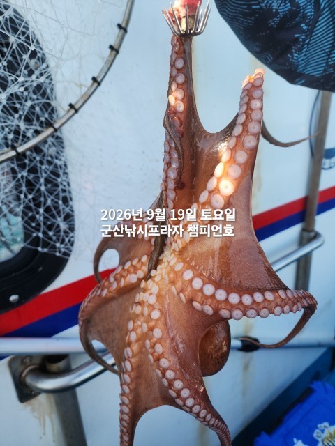 9월 19일 선상낚시 조황 현장 사진 7