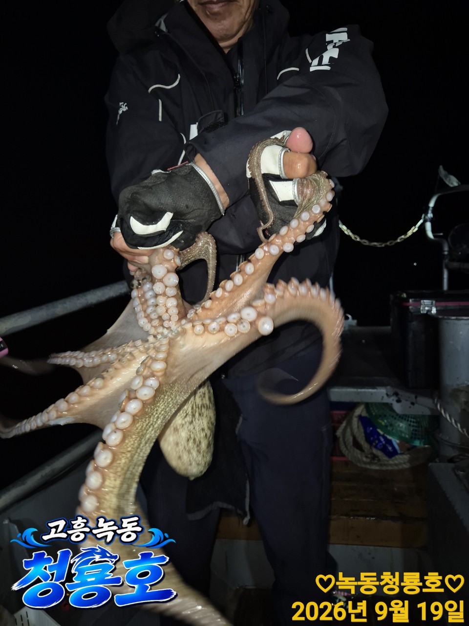 9월 19일 문어 선상낚시 조황 현장 사진 20