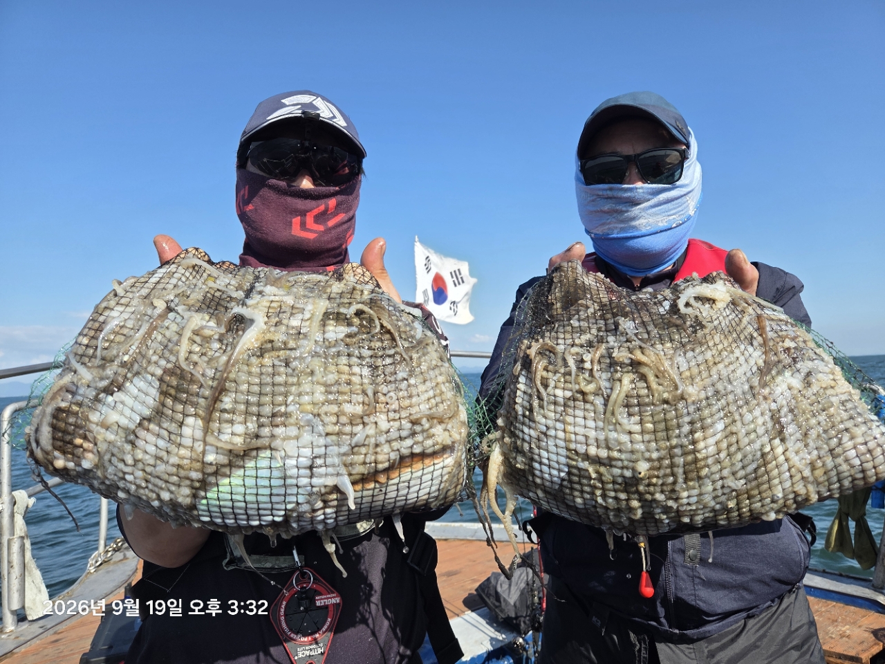 9월 19일 서천 갑오징어 선상낚시 조황 현장 사진 5