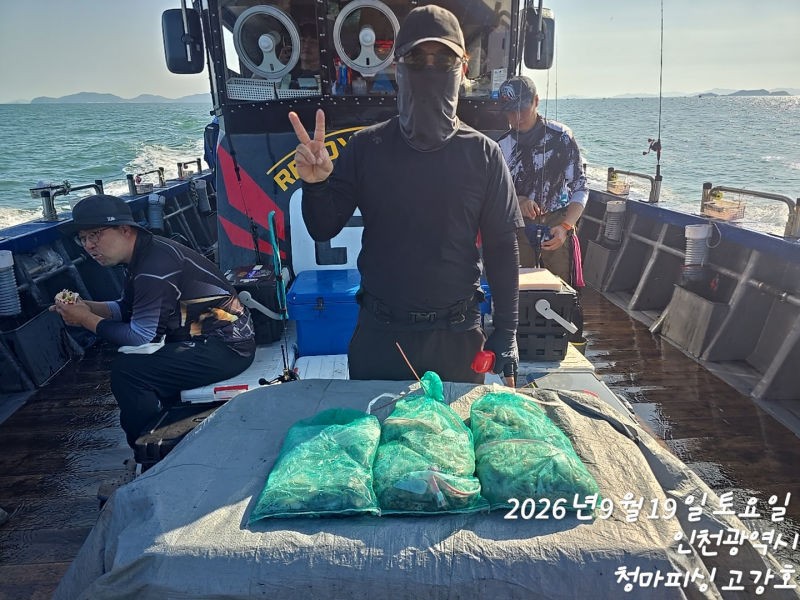 9월 19일 인천 갑오징어 선상낚시 조황 현장 사진 18
