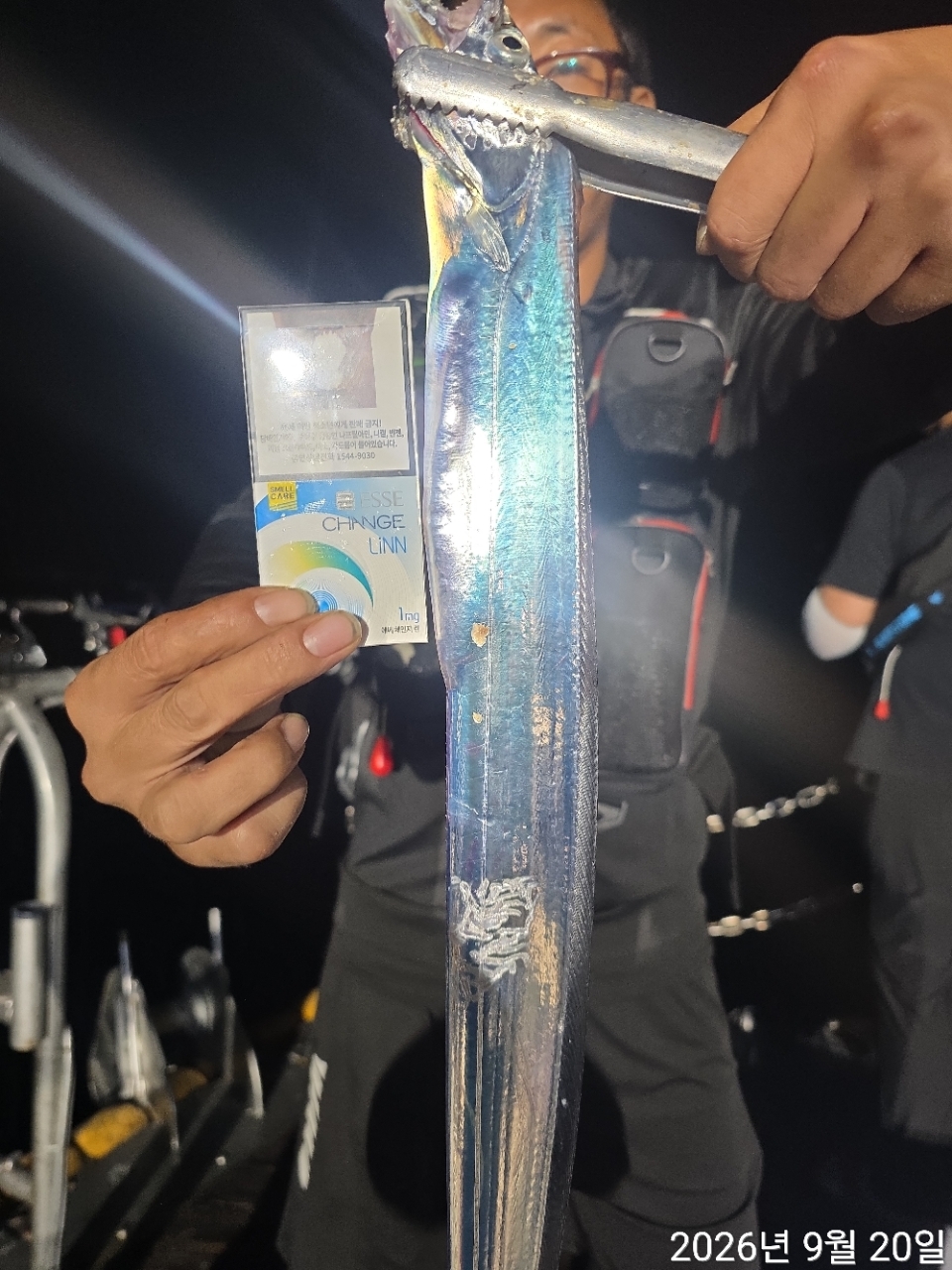 9월 19일 남해 무늬오징어 선상낚시 조황 현장 사진 13