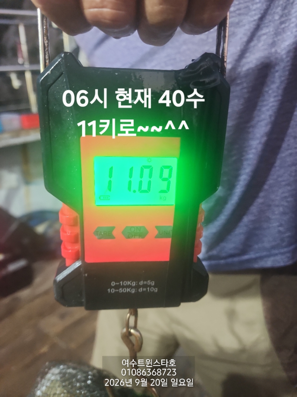 9월 25일 여수 문어 선상낚시 조황 현장 사진 1