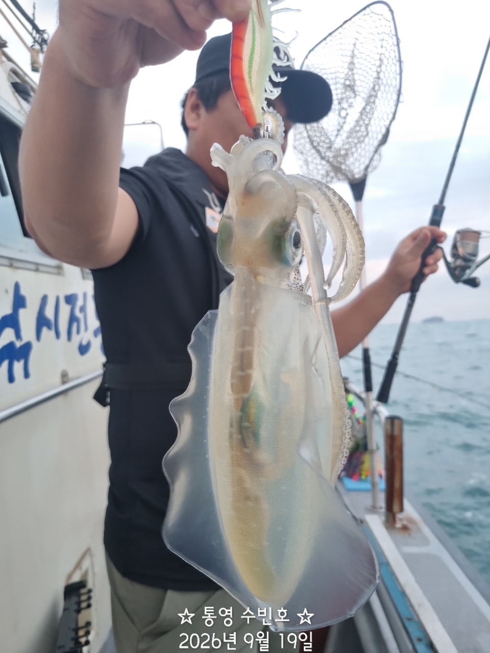9월 20일 무늬오징어 선상낚시 조황 현장 사진 12