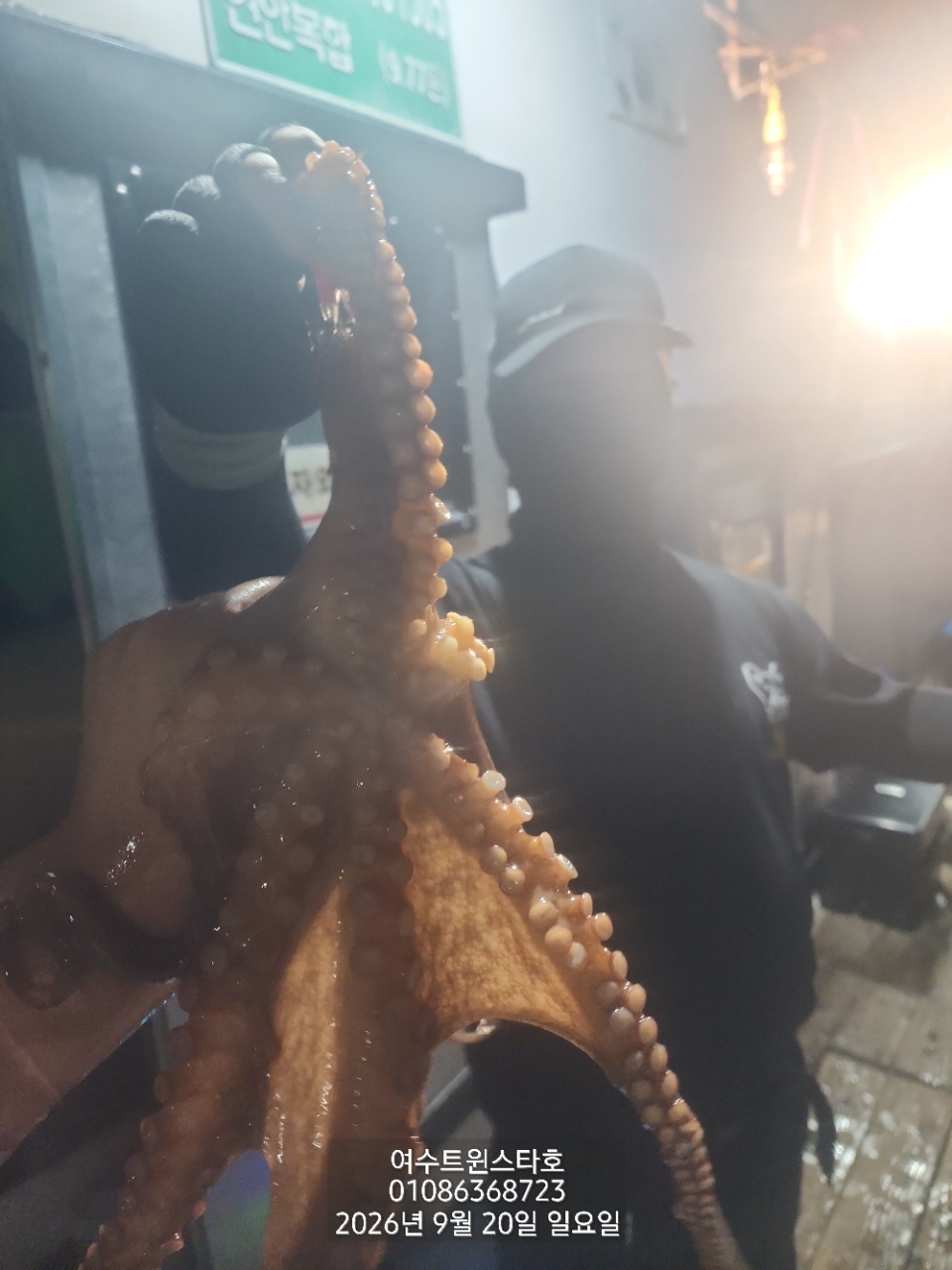 9월 25일 여수 문어 선상낚시 조황 현장 사진 9