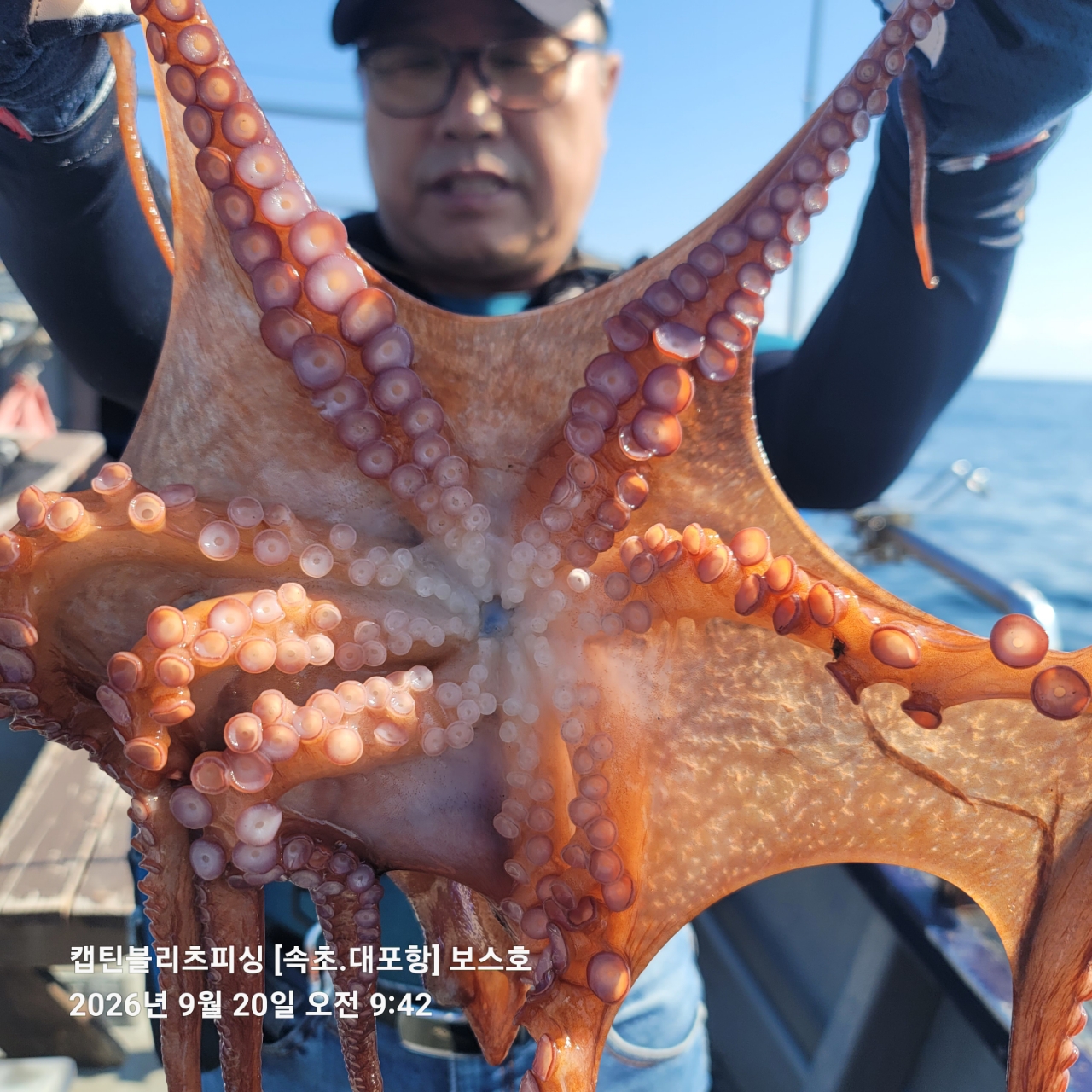 9월 20일 포항 문어 선상낚시 조황 현장 사진 3