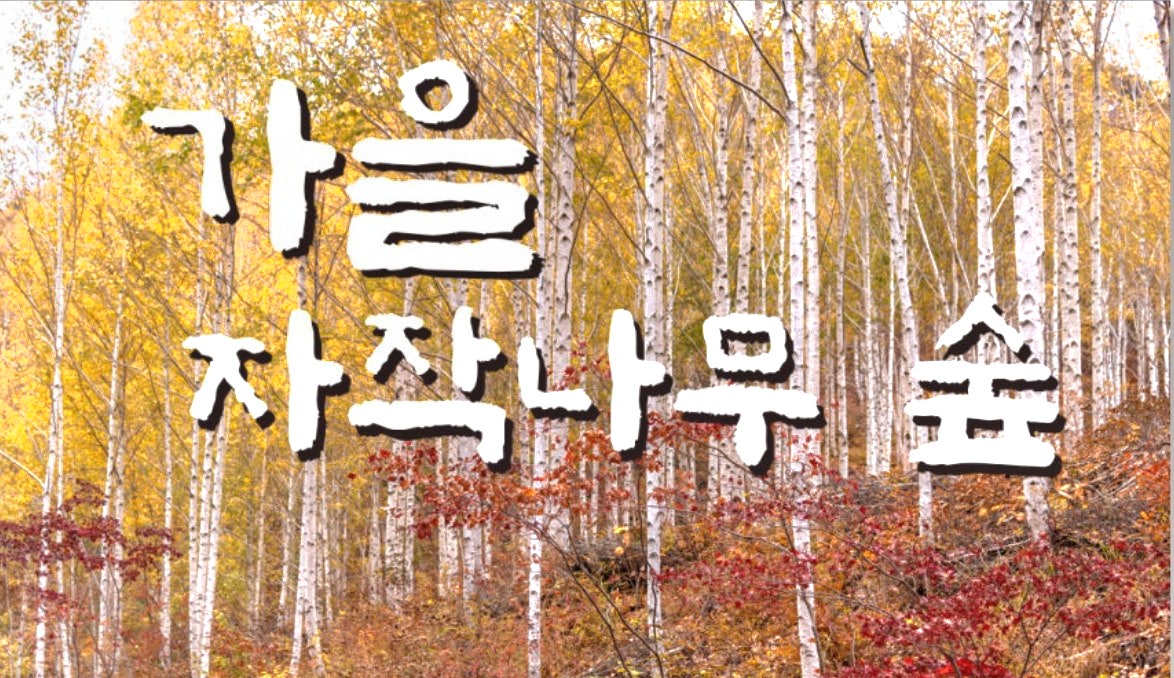 사용자가 올린 이미지
