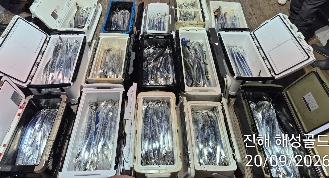 9월 20일 갈치 선상낚시 조황 현장 사진 23