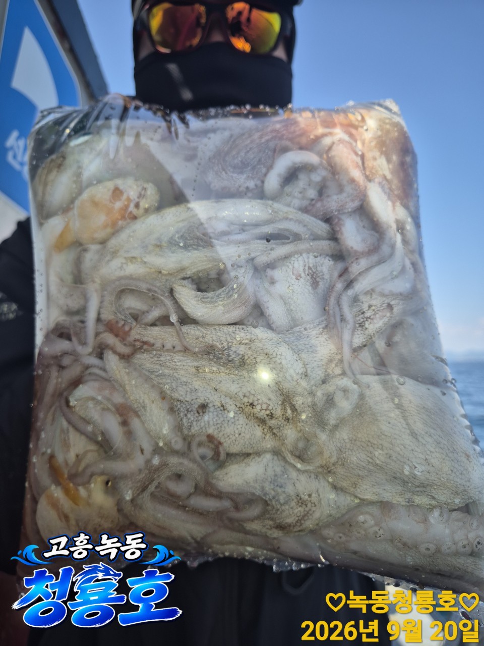 9월 20일 문어 선상낚시 조황 현장 사진 12