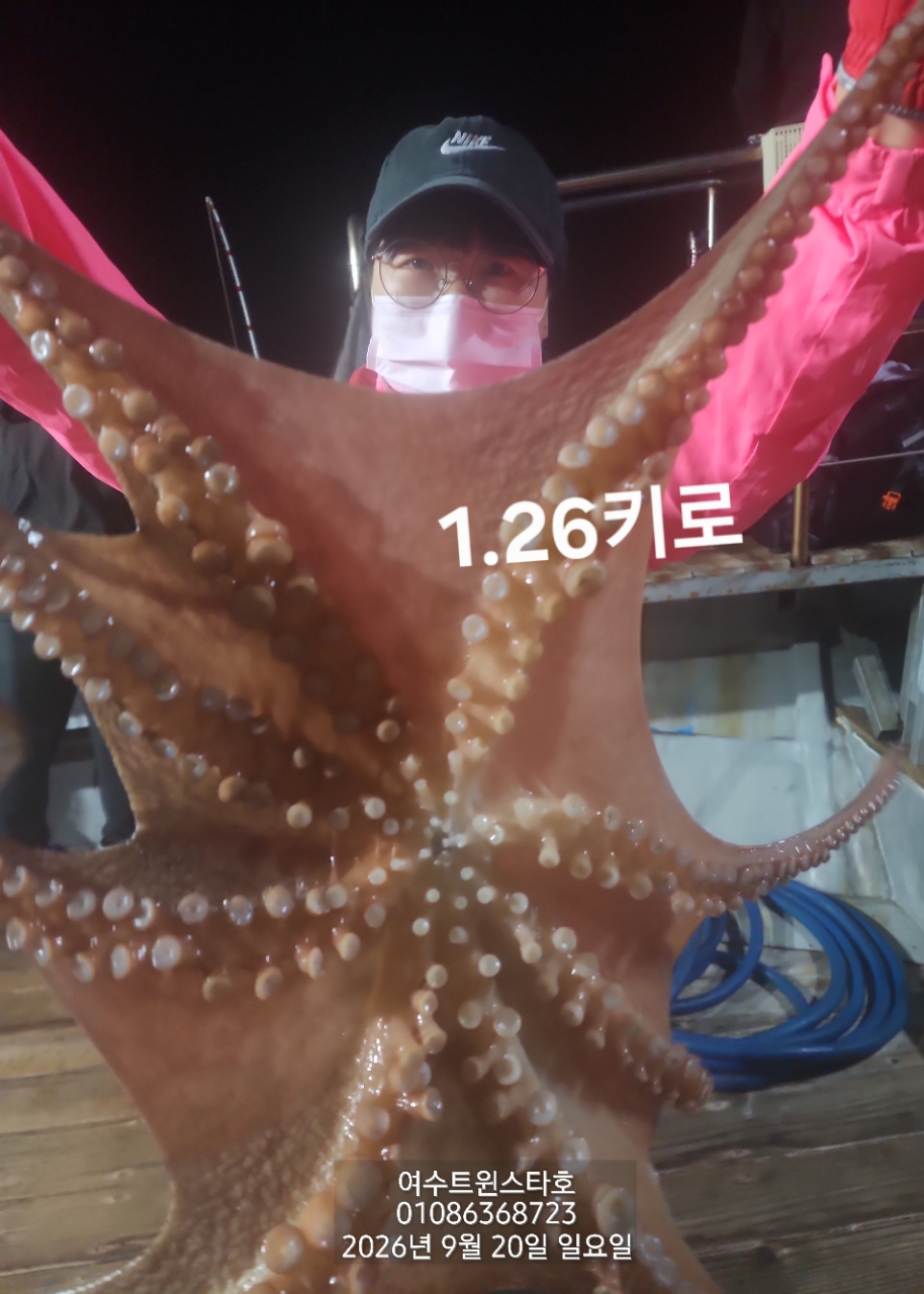 9월 25일 여수 문어 선상낚시 조황 현장 사진 2
