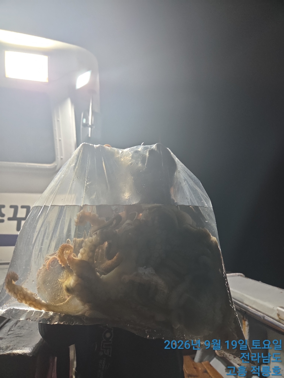 9월 19일 문어 선상낚시 조황 현장 사진 13