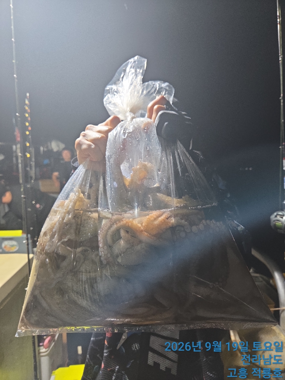 9월 19일 문어 선상낚시 조황 현장 사진 11