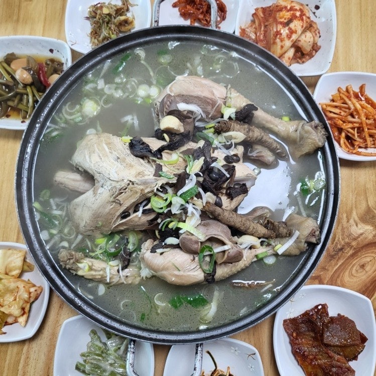 사용자가 올린 이미지