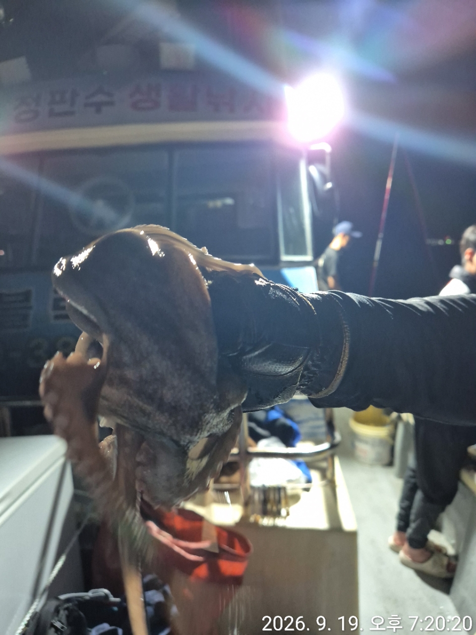 9월 20일 문어 선상낚시 조황 현장 사진 26