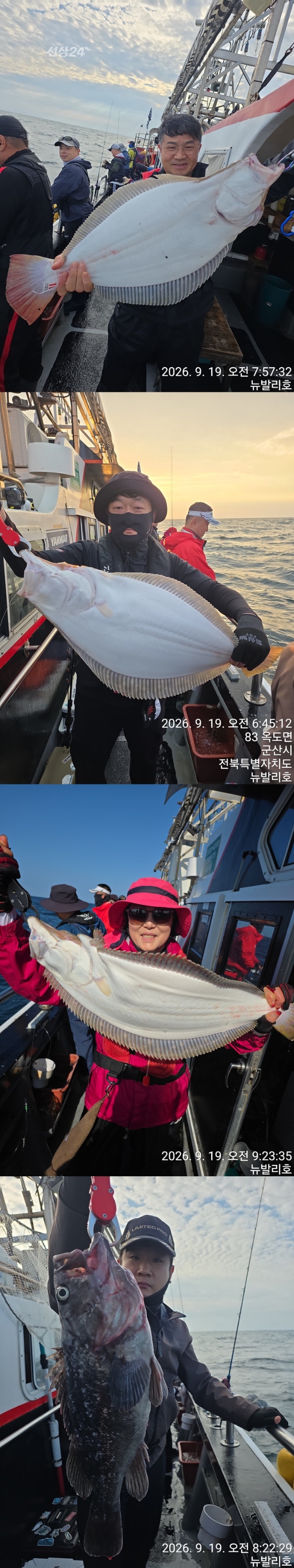 9월 20일 군산 갑오징어 선상낚시 조황 현장 사진 3