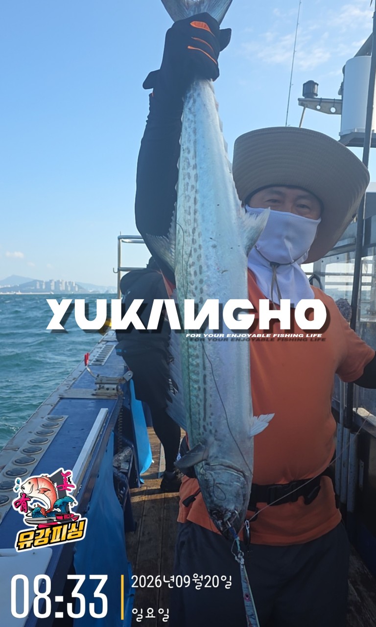 9월 20일 부산 갈치 선상낚시 조황 현장 사진 3