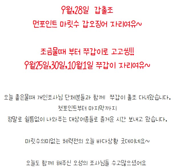 9월 20일 보령 갑오징어 선상낚시 조황 현장 사진 1