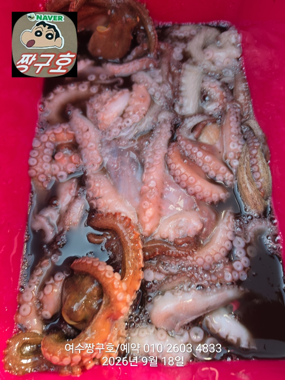 9월 18일 여수 문어 선상낚시 조황 현장 사진 40