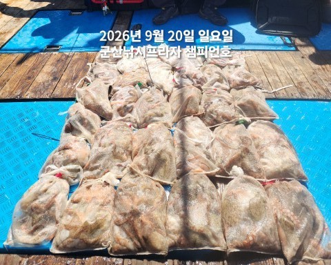 9월 20일 문어 선상낚시 조황 현장 사진 2