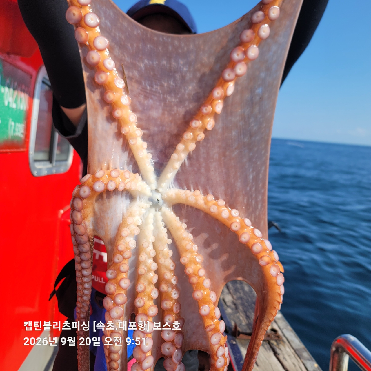 9월 20일 포항 문어 선상낚시 조황 현장 사진 1