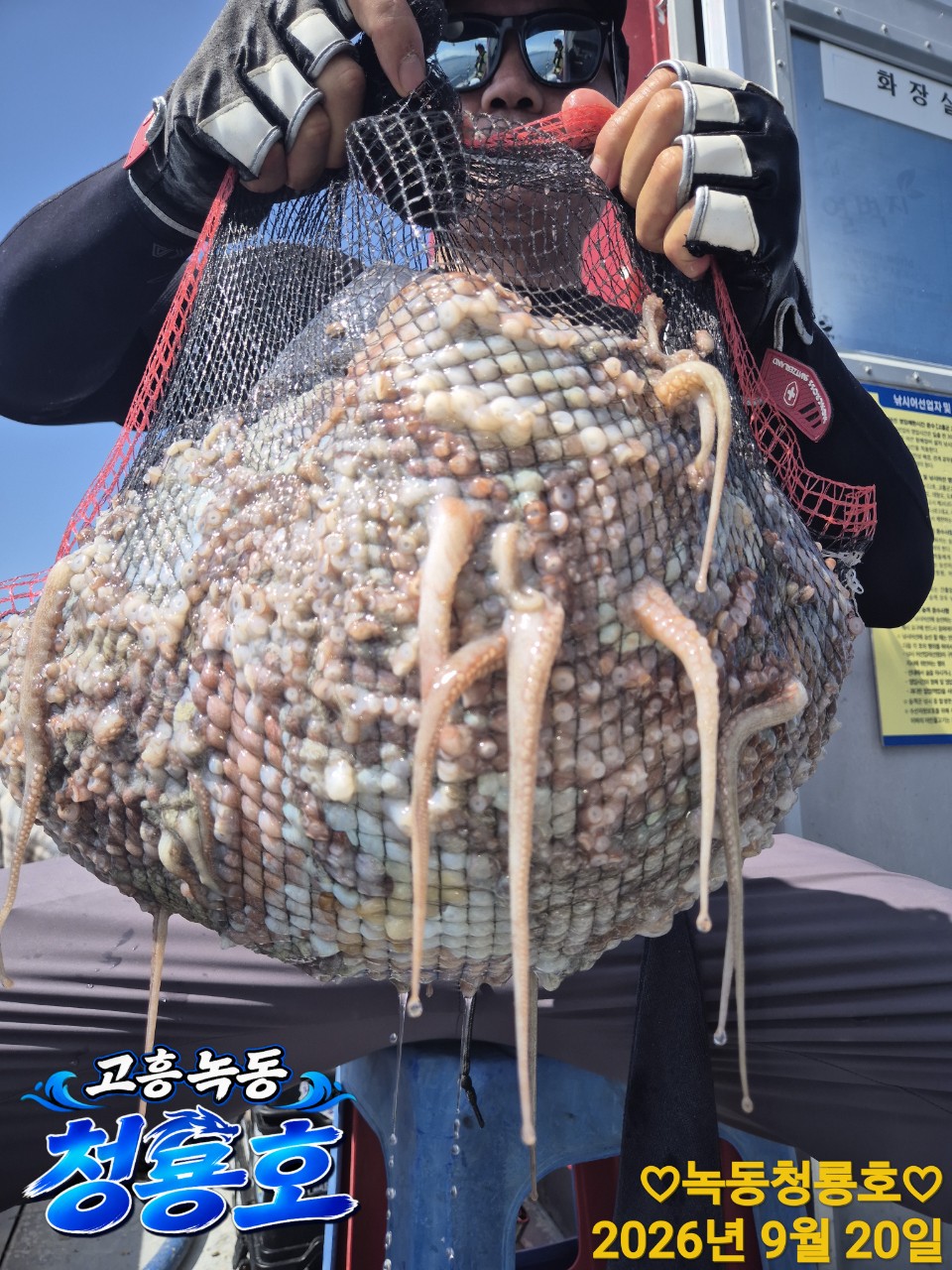 9월 20일 문어 선상낚시 조황 현장 사진 7