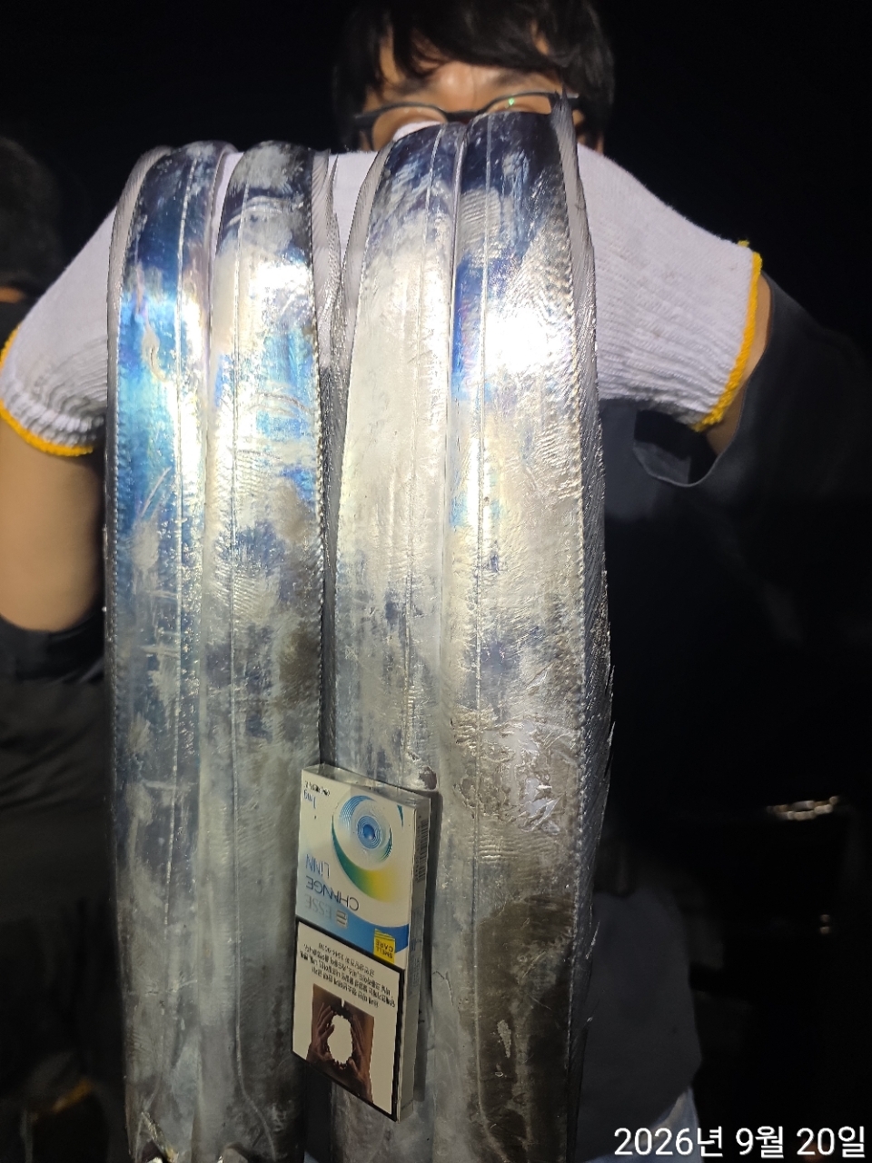 9월 19일 남해 무늬오징어 선상낚시 조황 현장 사진 10
