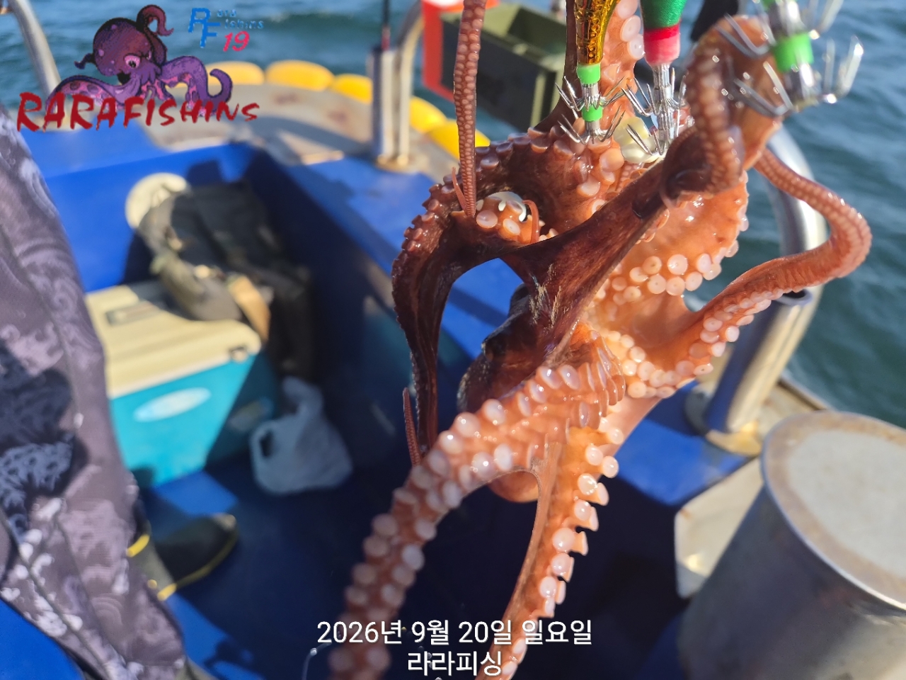 9월 20일 진해 문어 선상낚시 조황 현장 사진 12