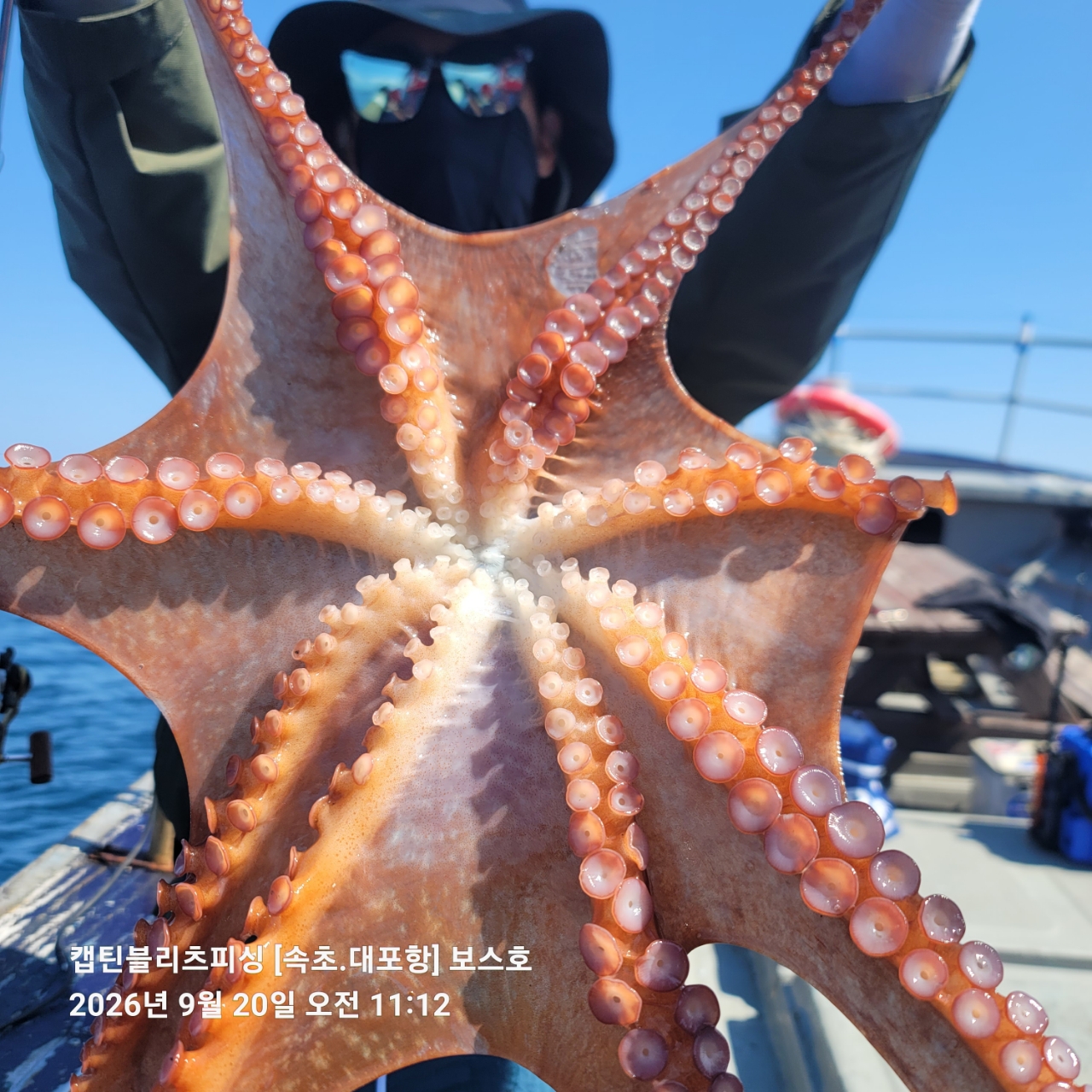9월 20일 포항 문어 선상낚시 조황 현장 사진 4