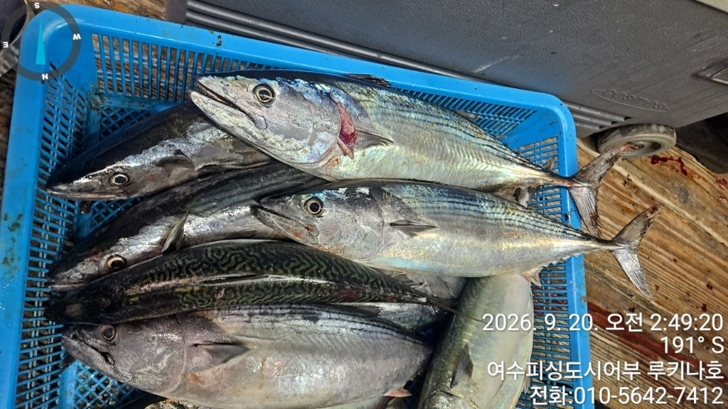 9월 20일 여수 갈치 선상낚시 조황 현장 사진 15