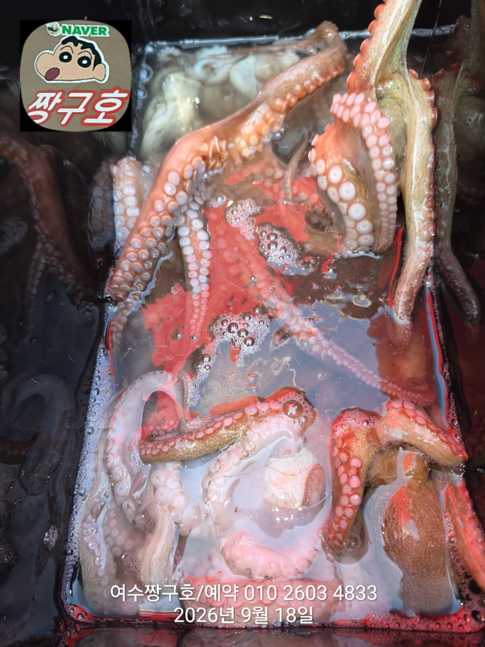 9월 18일 여수 문어 선상낚시 조황 현장 사진 22