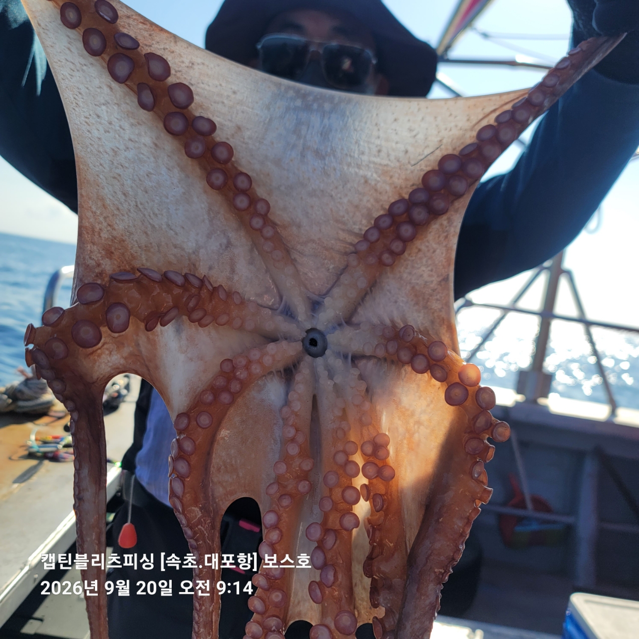 9월 20일 포항 문어 선상낚시 조황 현장 사진 2