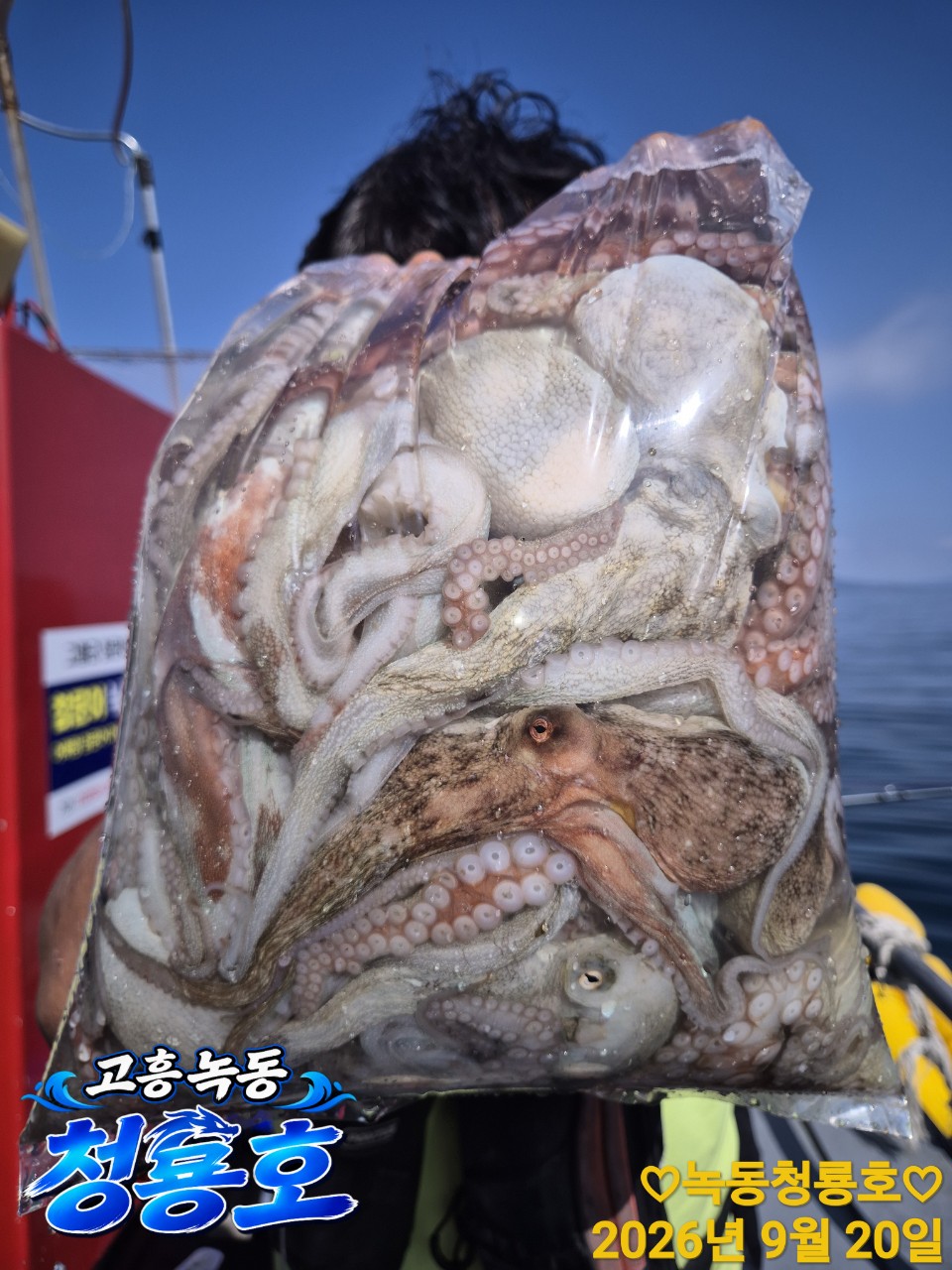 9월 20일 문어 선상낚시 조황 현장 사진 11