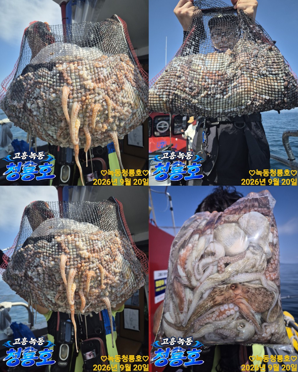 9월 20일 문어 선상낚시 조황 현장 사진 3