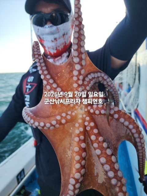 9월 20일 문어 선상낚시 조황 현장 사진 5