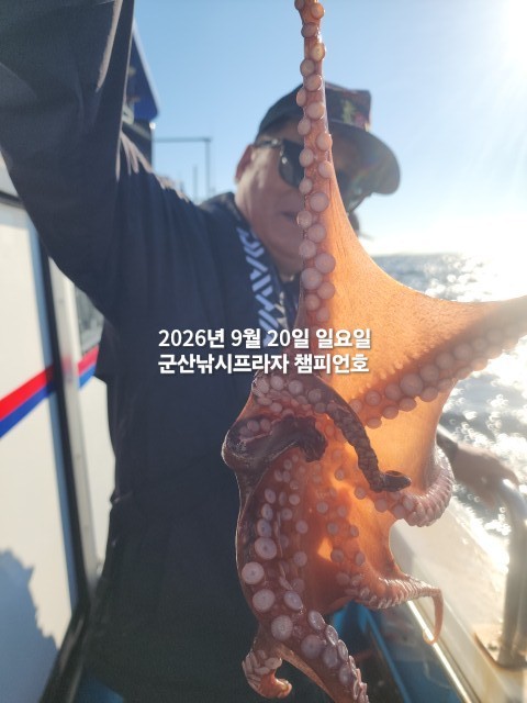 9월 20일 문어 선상낚시 조황 현장 사진 9