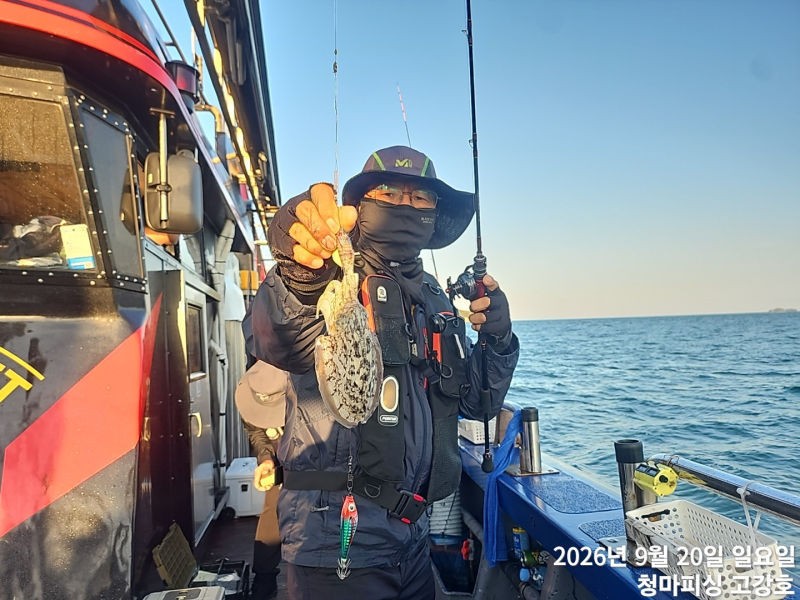 9월 20일 인천 갑오징어 선상낚시 조황 현장 사진 14