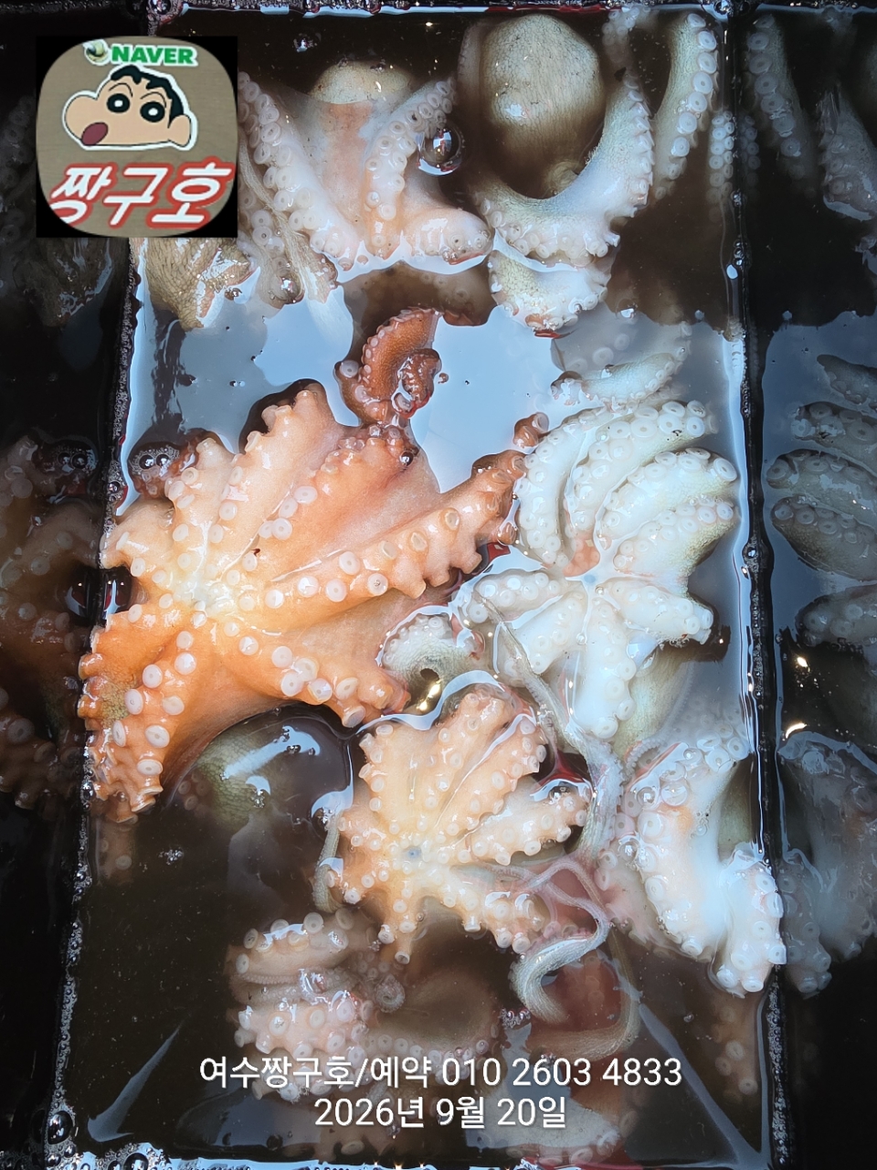 9월 20일 여수 문어 선상낚시 조황 현장 사진 22