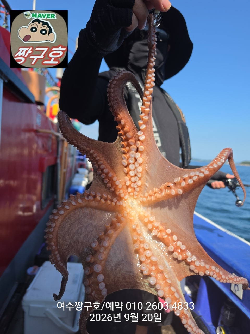 9월 20일 여수 문어 선상낚시 조황 현장 사진 32