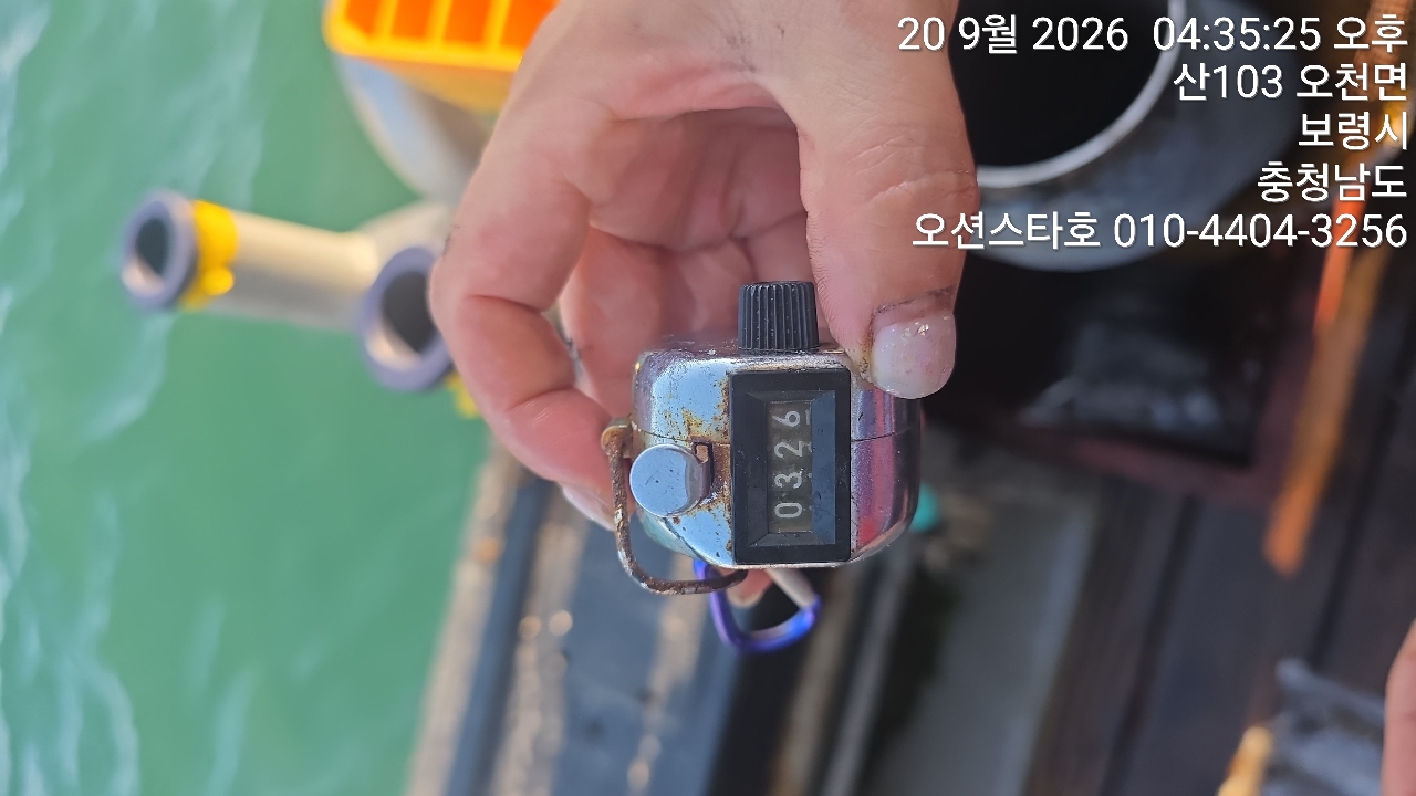9월 20일 주꾸미 선상낚시 조황 현장 사진 12
