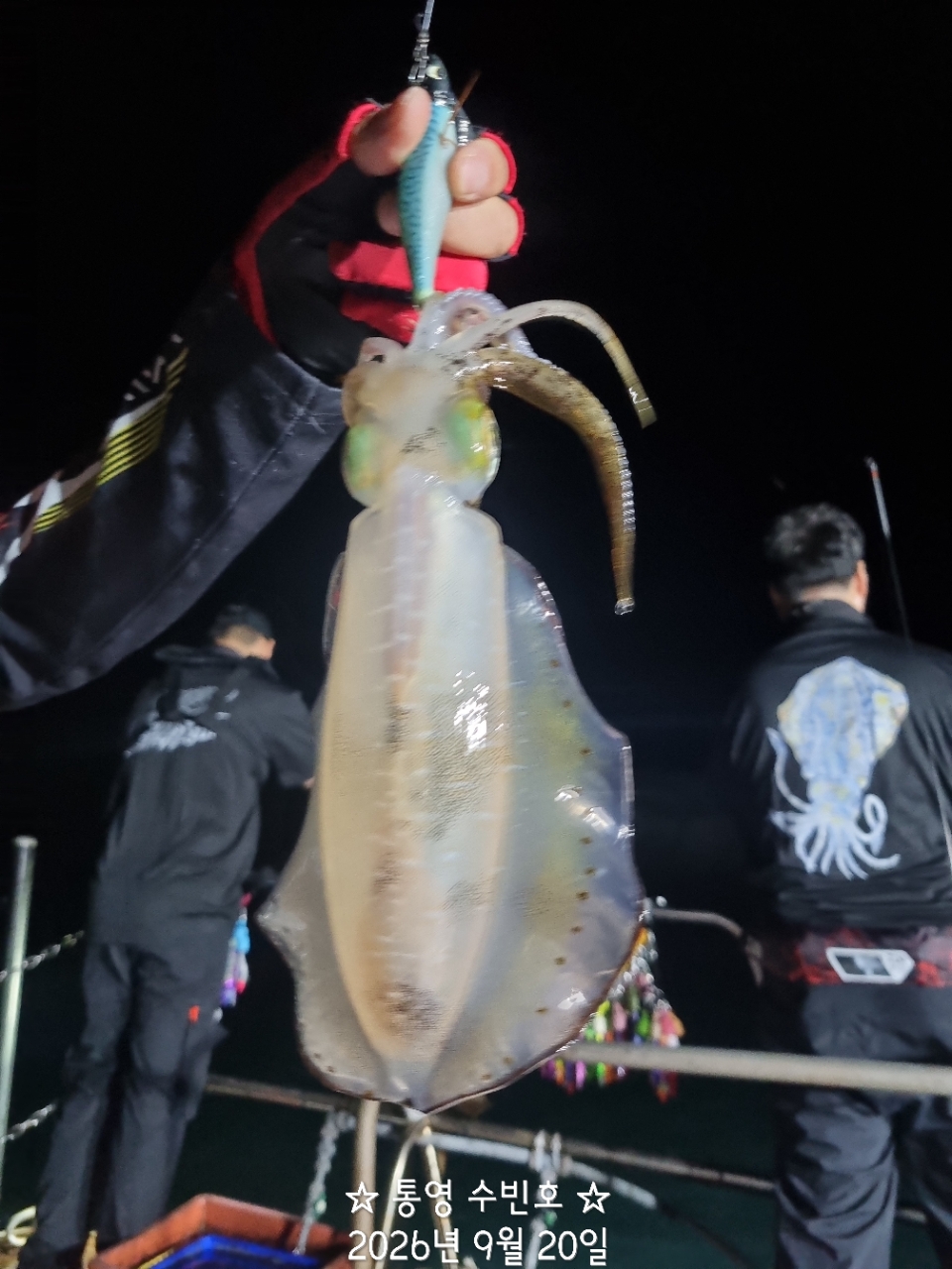 9월 21일 무늬오징어 선상낚시 조황 현장 사진 10