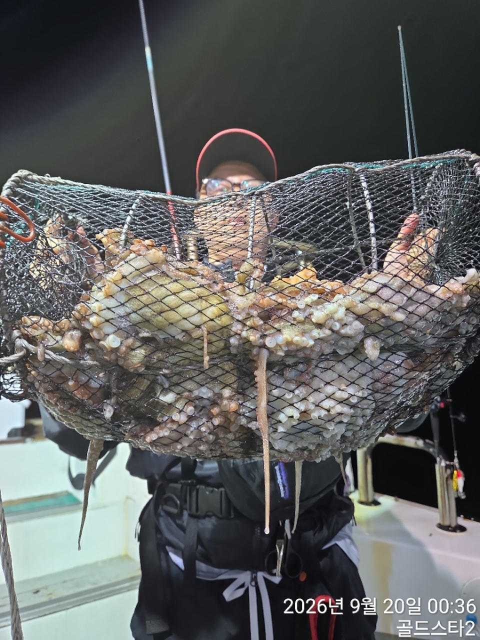 9월 19일 문어 선상낚시 조황 현장 사진 3