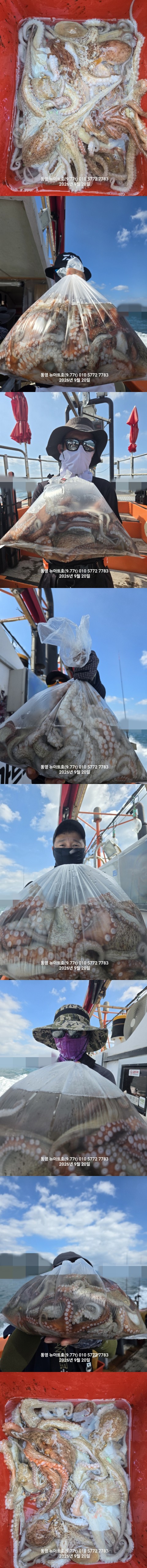 9월 20일 남해 문어 선상낚시 조황 현장 사진 7