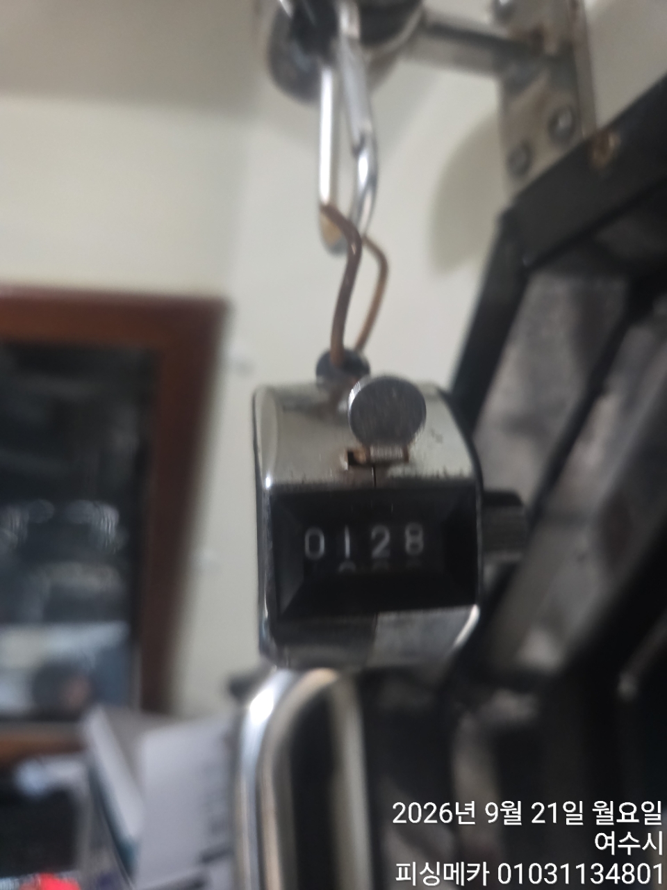 9월 21일 여수 무늬오징어 선상낚시 조황 현장 사진 1