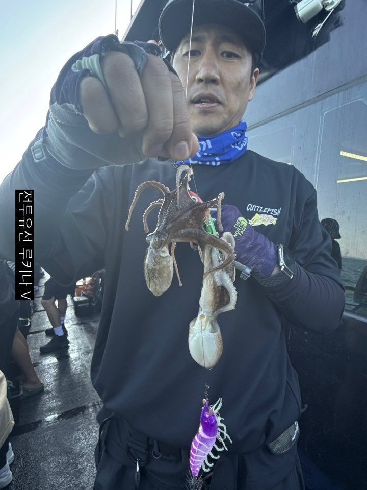 사용자가 올린 이미지