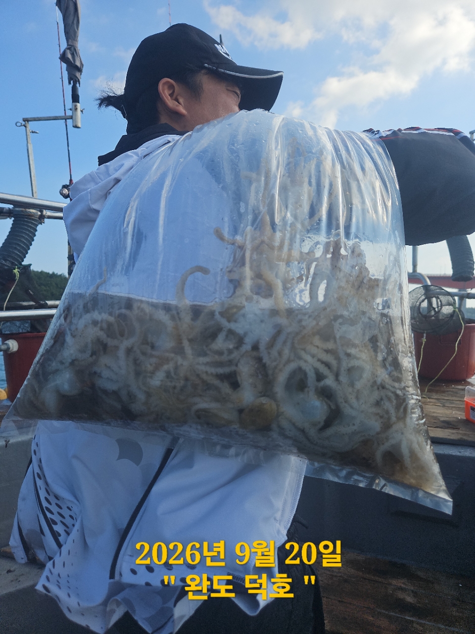 9월 20일 완도 주꾸미 선상낚시 조황 현장 사진 1