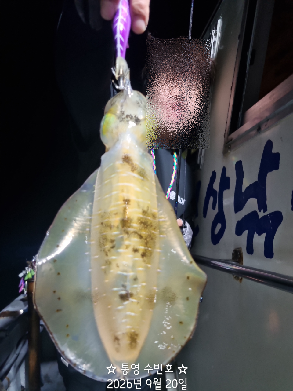 9월 21일 무늬오징어 선상낚시 조황 현장 사진 6