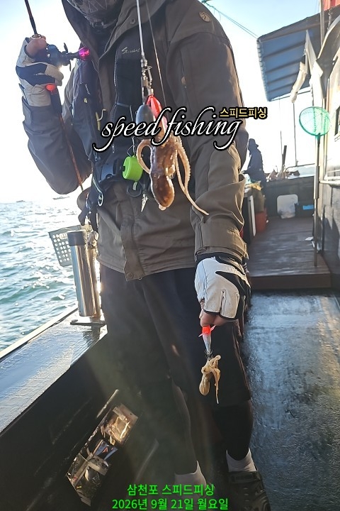 9월 21일 삼천포 문어 선상낚시 조황 현장 사진 4